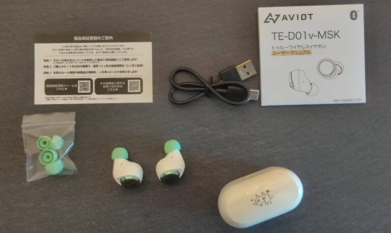佐藤優樹さんモデルのイヤホン「AVIOT TE-D01v-MSK」のレビュー 佐藤優樹さんモデルのイヤホン「AVIOT TE-D01v-MSK」のレビュー